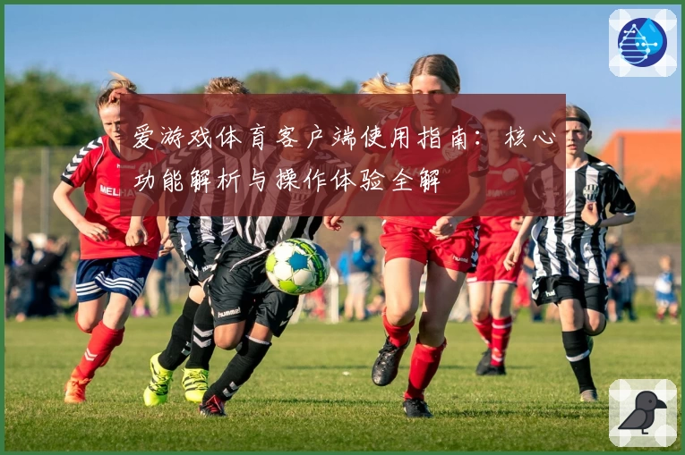 爱游戏体育客户端使用指南：核心功能解析与操作体验全解