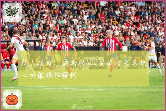 新人指南：爱游戏APP安装方法及核心功能操作解析